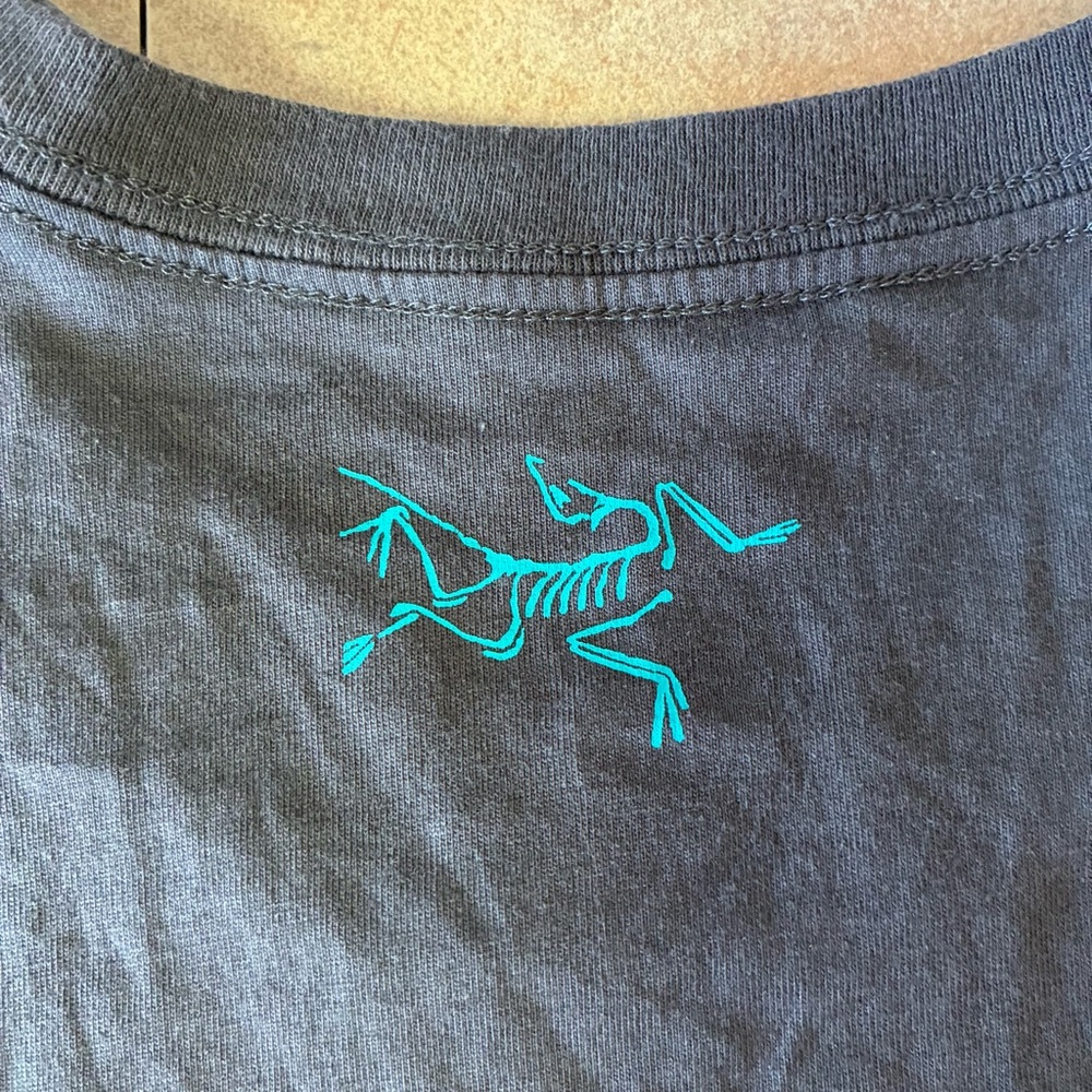 Arc’teryx Mountain Climbing Outdoor Sportsman Grey Mountain Graphic Shirt Unisex - Picture 6 of 9